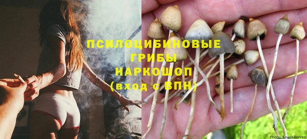 стафф Козельск