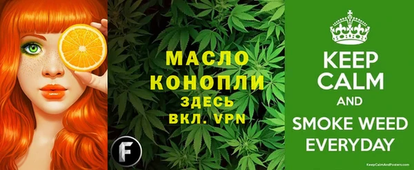 индика Каменногорск