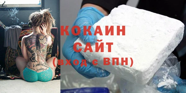 прущие грибы Каменка