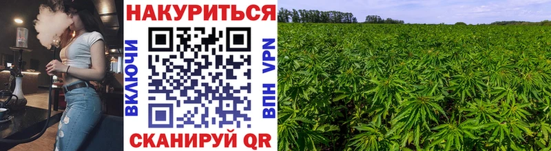 МАРИХУАНА ГИДРОПОН  где можно купить   Спас-Клепики 